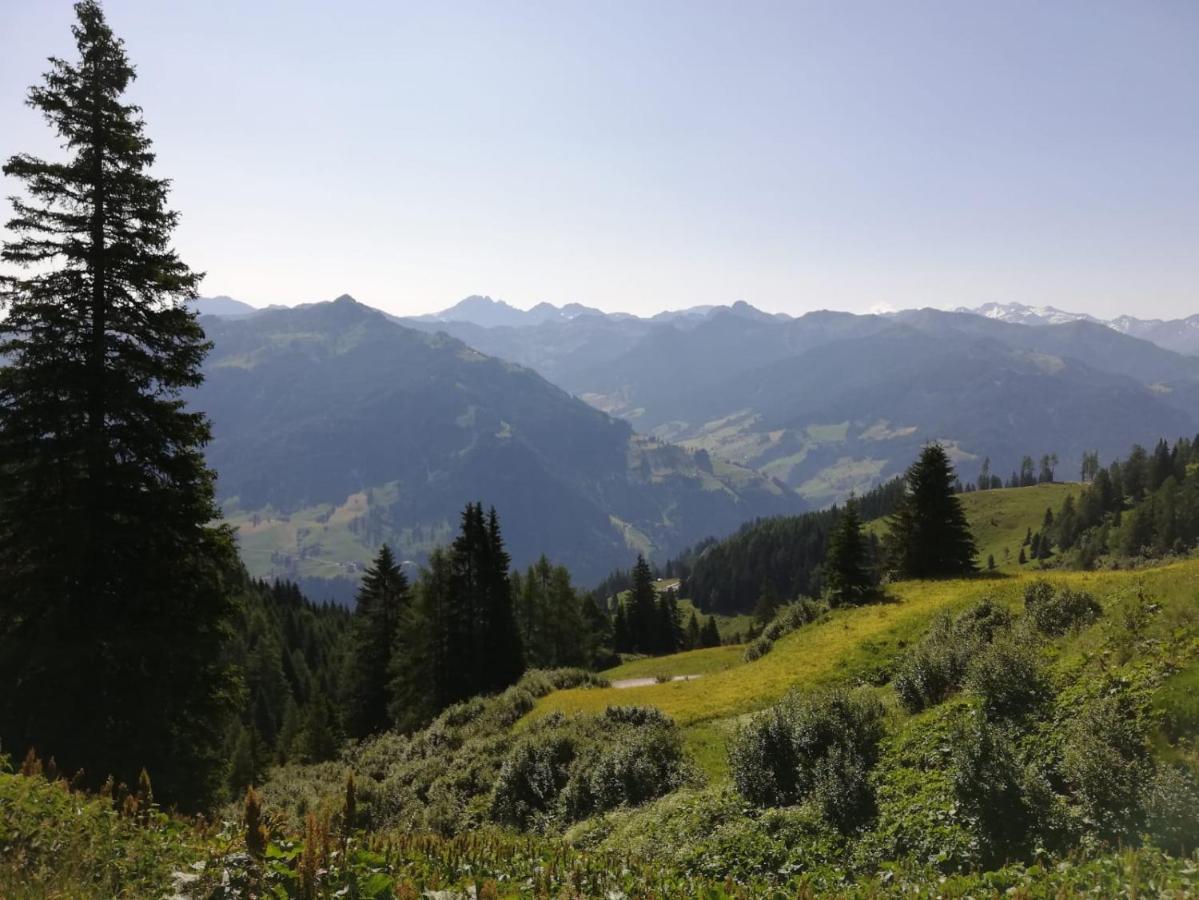 Appartement Tauernlife Schwarzach im Pongau Kültér fotó