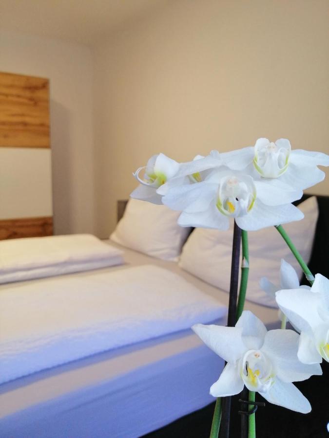 Appartement Tauernlife Schwarzach im Pongau Kültér fotó