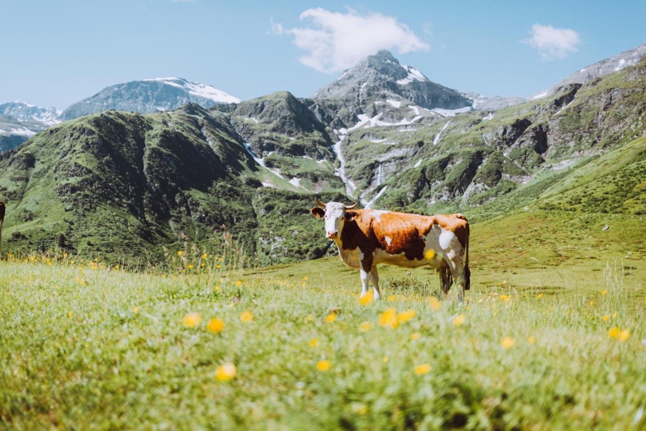 Appartement Tauernlife Schwarzach im Pongau Kültér fotó