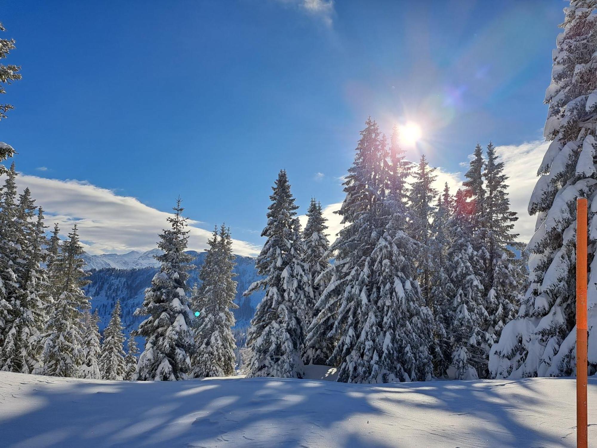 Appartement Tauernlife Schwarzach im Pongau Kültér fotó